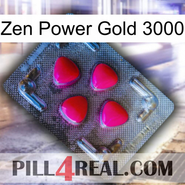 Zen Power Gold 3000 13.jpg